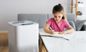 benefici di un umidificatore a casa