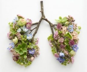 deumidificatore e sistema respiratorio