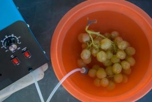 disinfezione con ozono in acqua