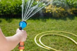eliminare le formiche dal giardino con l'acqua